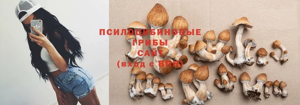 гидра Армянск