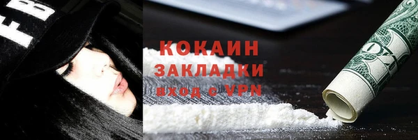 ПСИЛОЦИБИНОВЫЕ ГРИБЫ Арсеньев