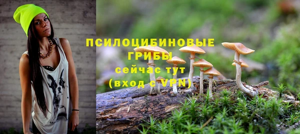 гидра Армянск