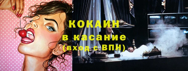 ПСИЛОЦИБИНОВЫЕ ГРИБЫ Арсеньев