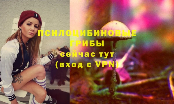 ПСИЛОЦИБИНОВЫЕ ГРИБЫ Арсеньев