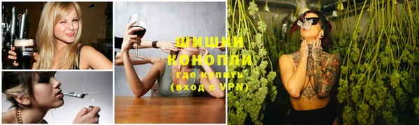 ПСИЛОЦИБИНОВЫЕ ГРИБЫ Арсеньев